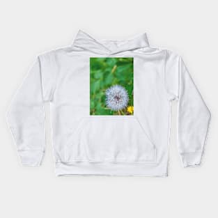 summer picture - dandelion fluff - blowball Kids Hoodie